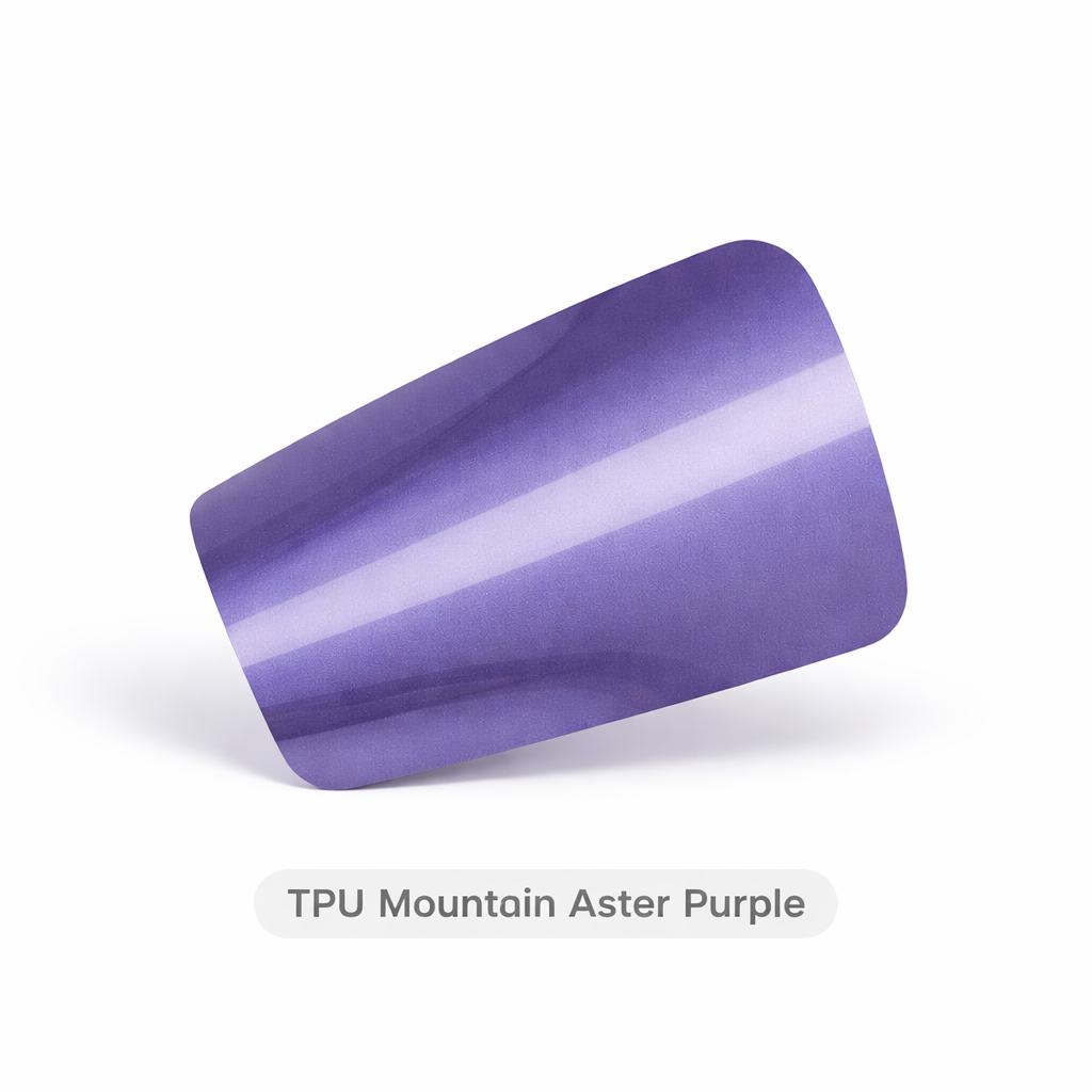 Mountain Aster Purple